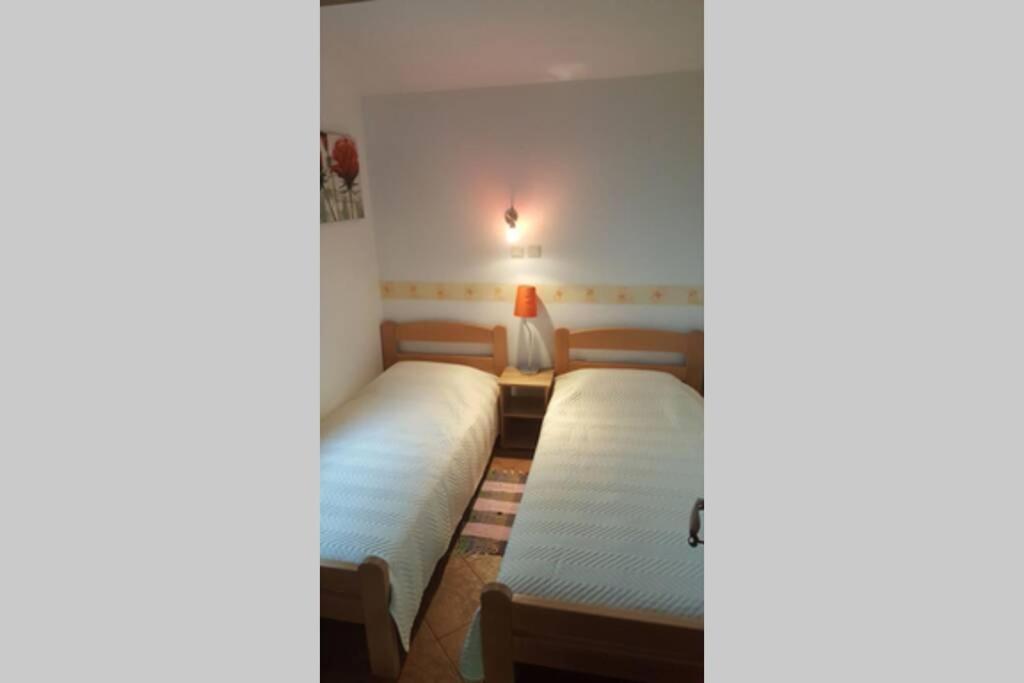 Garden Apartment- Near Sea 2 دوبروتا المظهر الخارجي الصورة